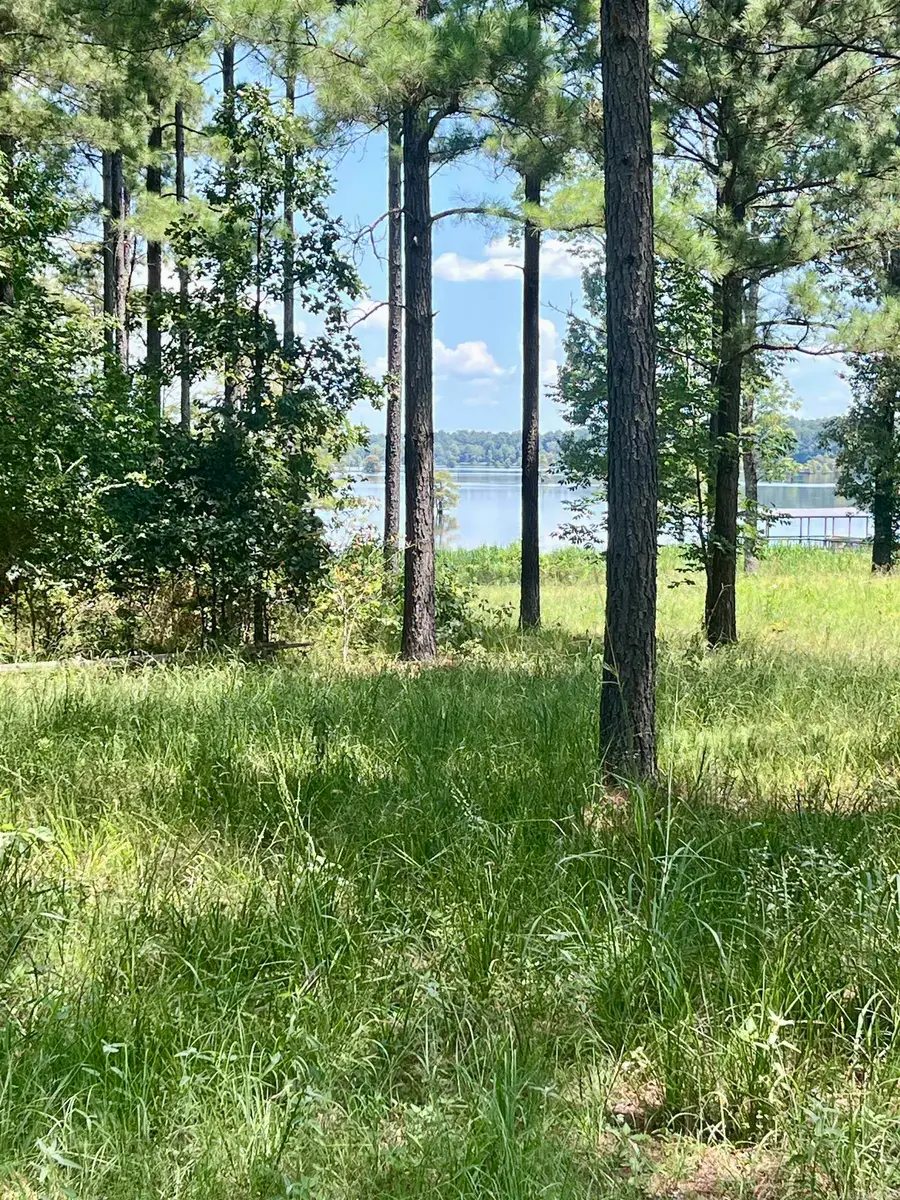 Lot 3 Eagle Brook, Lewisville, AR 71845 - Image #3