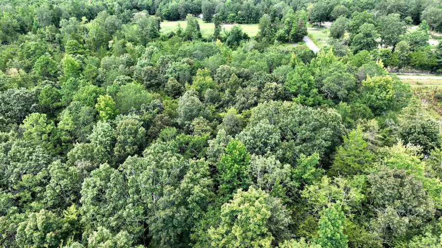 TBD Polk Road 676, Mena, AR 71953 - Image #2