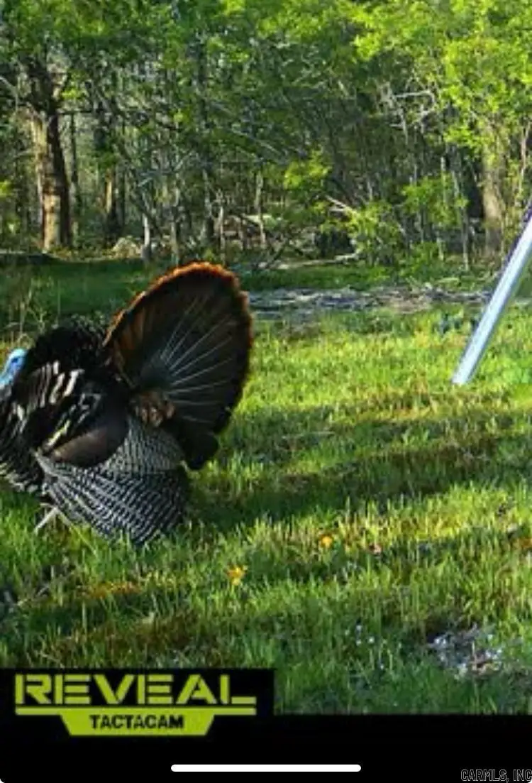 Address Withheld By Seller, Bradford, AR 72020 - Image #2