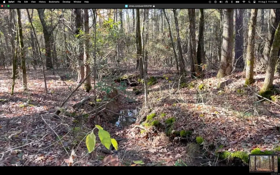 Lot 13 Shiloh Landing Pointe, Greers Ferry, AR 72067 - Image #3