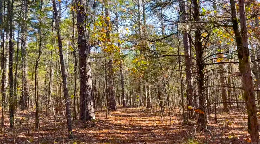 Lot 16 Shiloh Landing Pointe, Greers Ferry, AR 72067 - Image #3