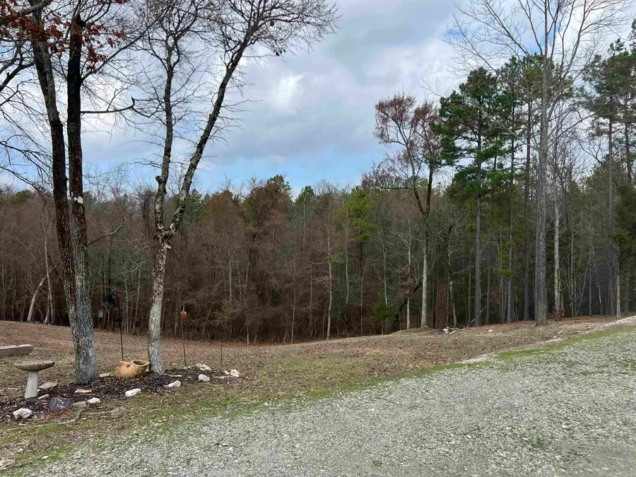 46 Hawkeye Lane, Mount Ida, AR 71957 - Image #3