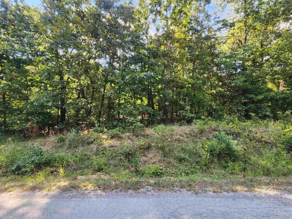 L-41, B-8 Winnebago Drive, Cherokee Village, AR 72529