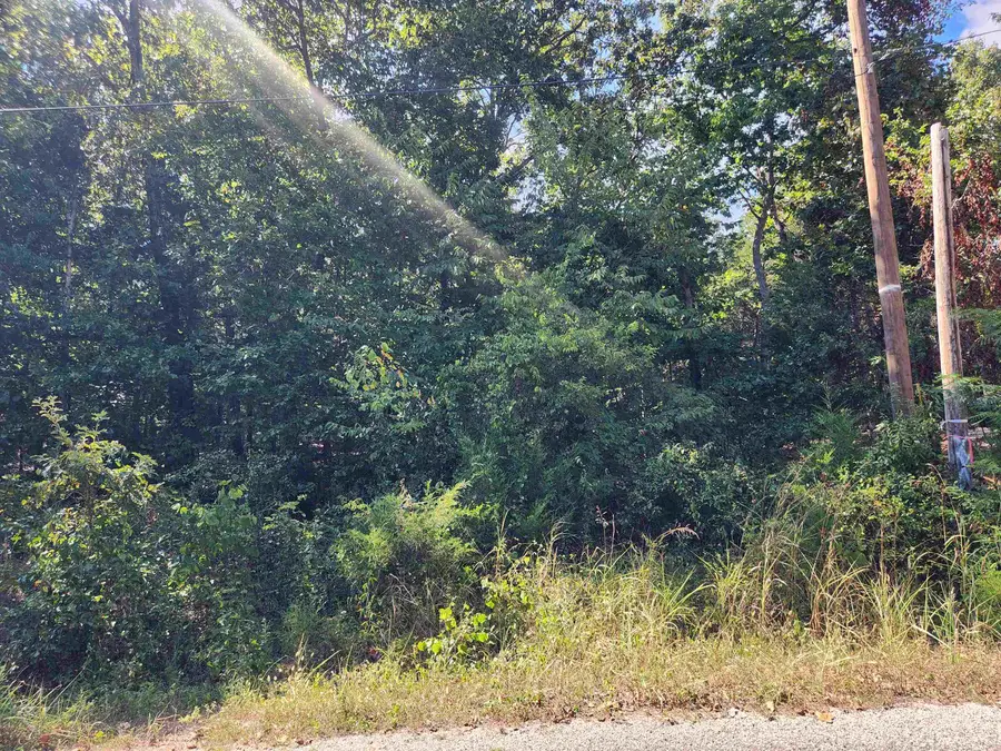 L-41, B-8 Winnebago Drive, Cherokee Village, AR 72529 - Image #2