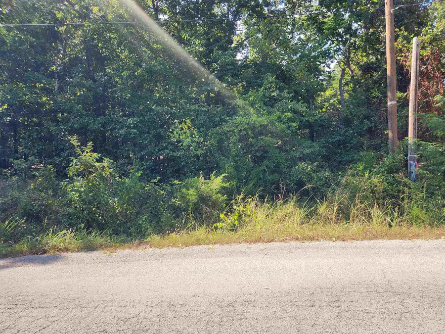 L-41, B-8 Winnebago Drive, Cherokee Village, AR 72529 - Image #3