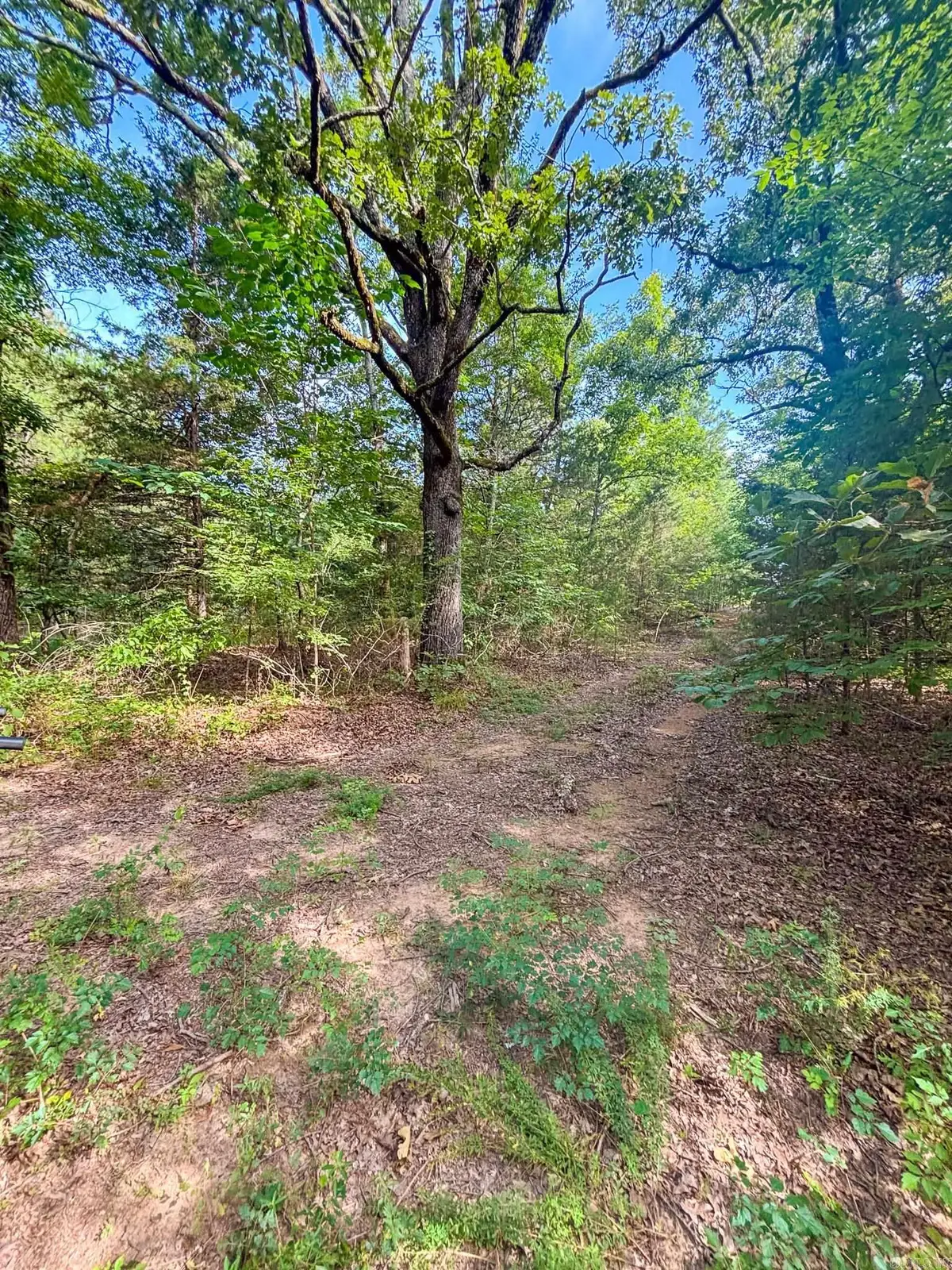 Kenneth Lane, Houston, AR 72070 - Image #1