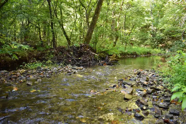 0000 Beech Creek Road, Norman, AR 71960