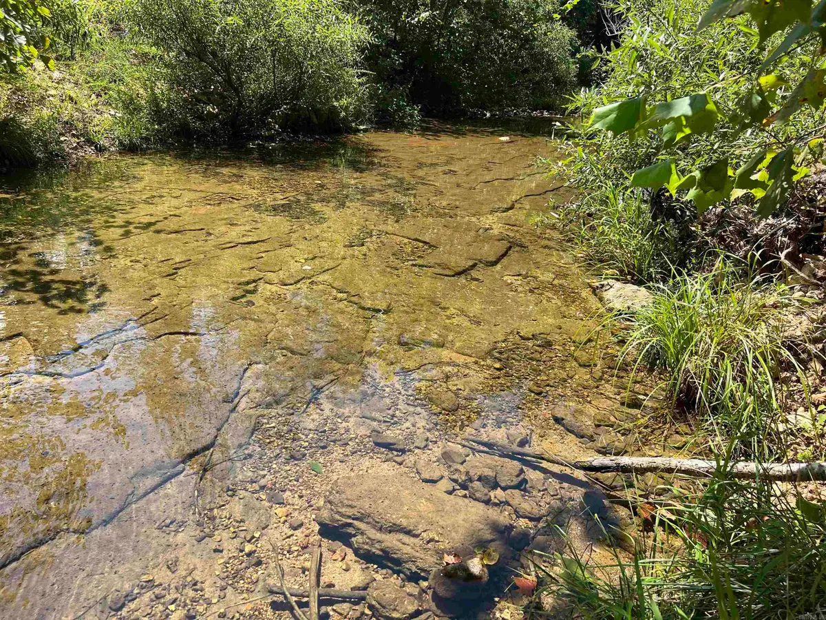 000 Private Road Off My Lane, Mammoth Spring, AR 72554 - Image #1
