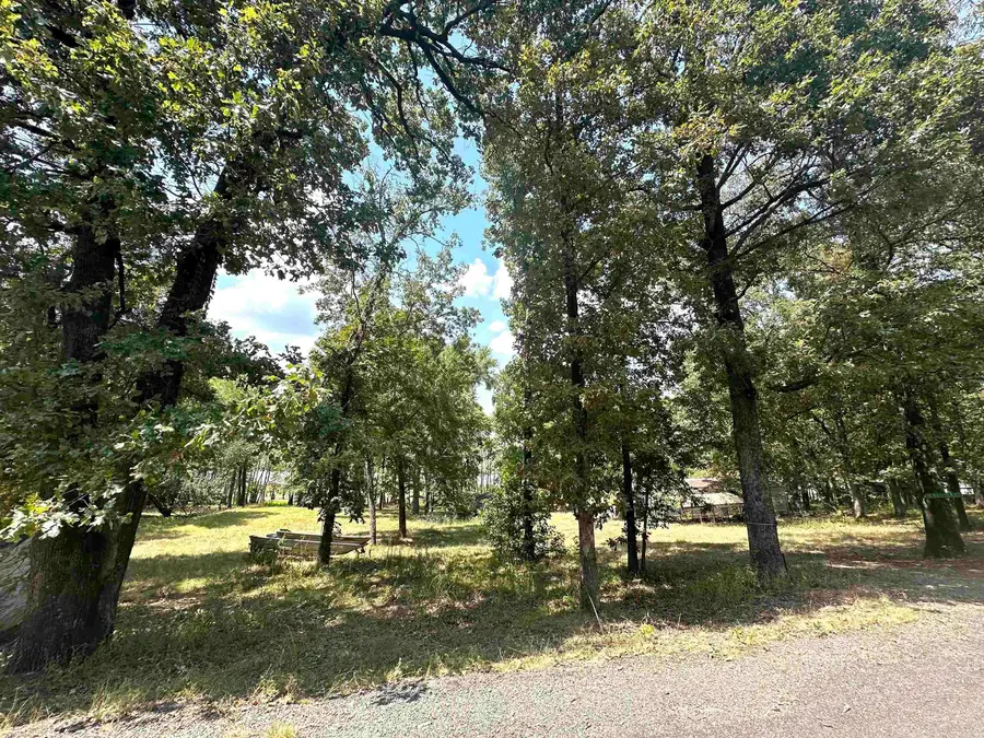 PT Lot 26 Phase 1 Green Lake Est, Conway, AR 72032 - Image #2