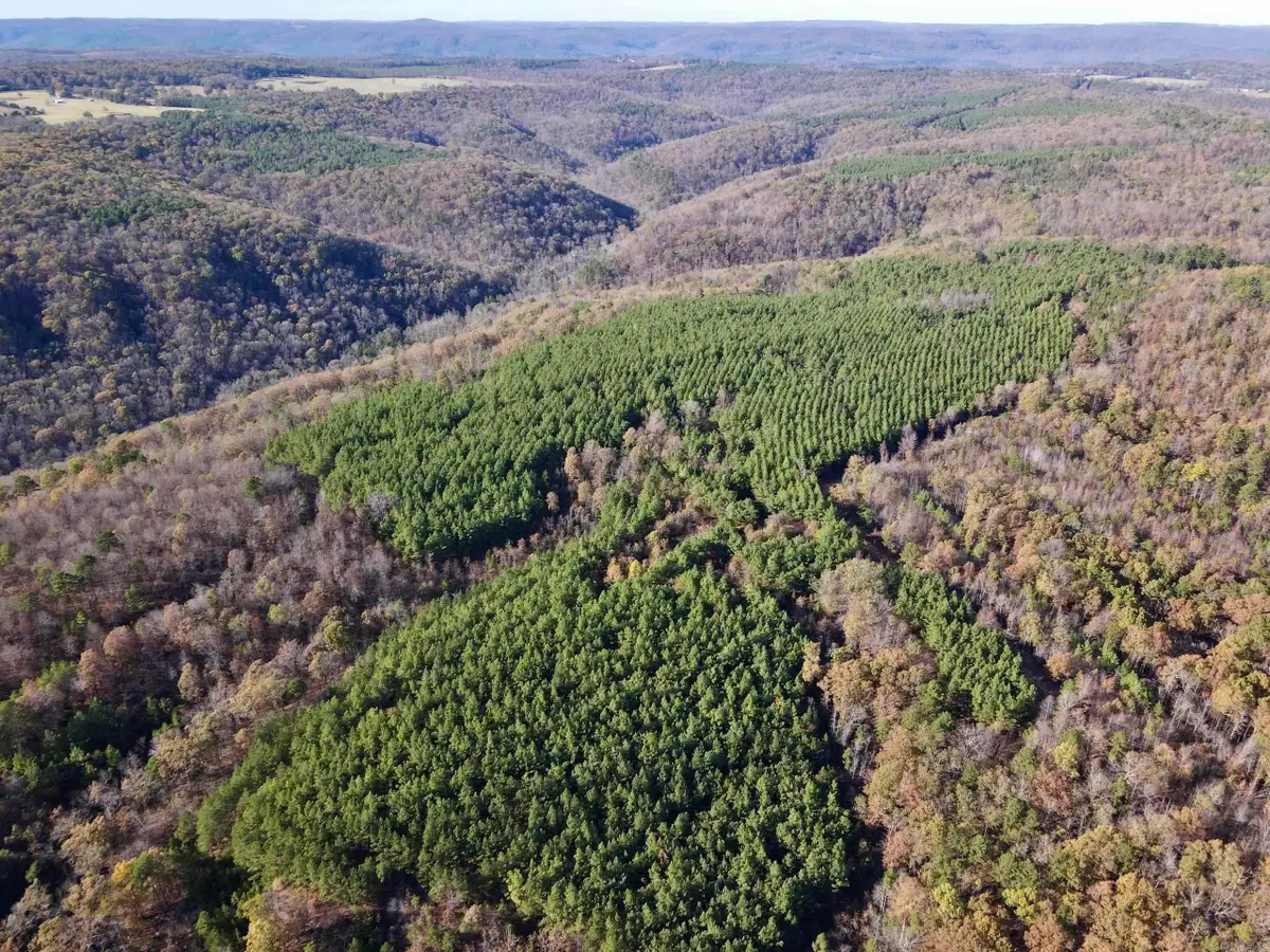 Address Withheld By Seller, Clinton, AR 72031 - Image #1