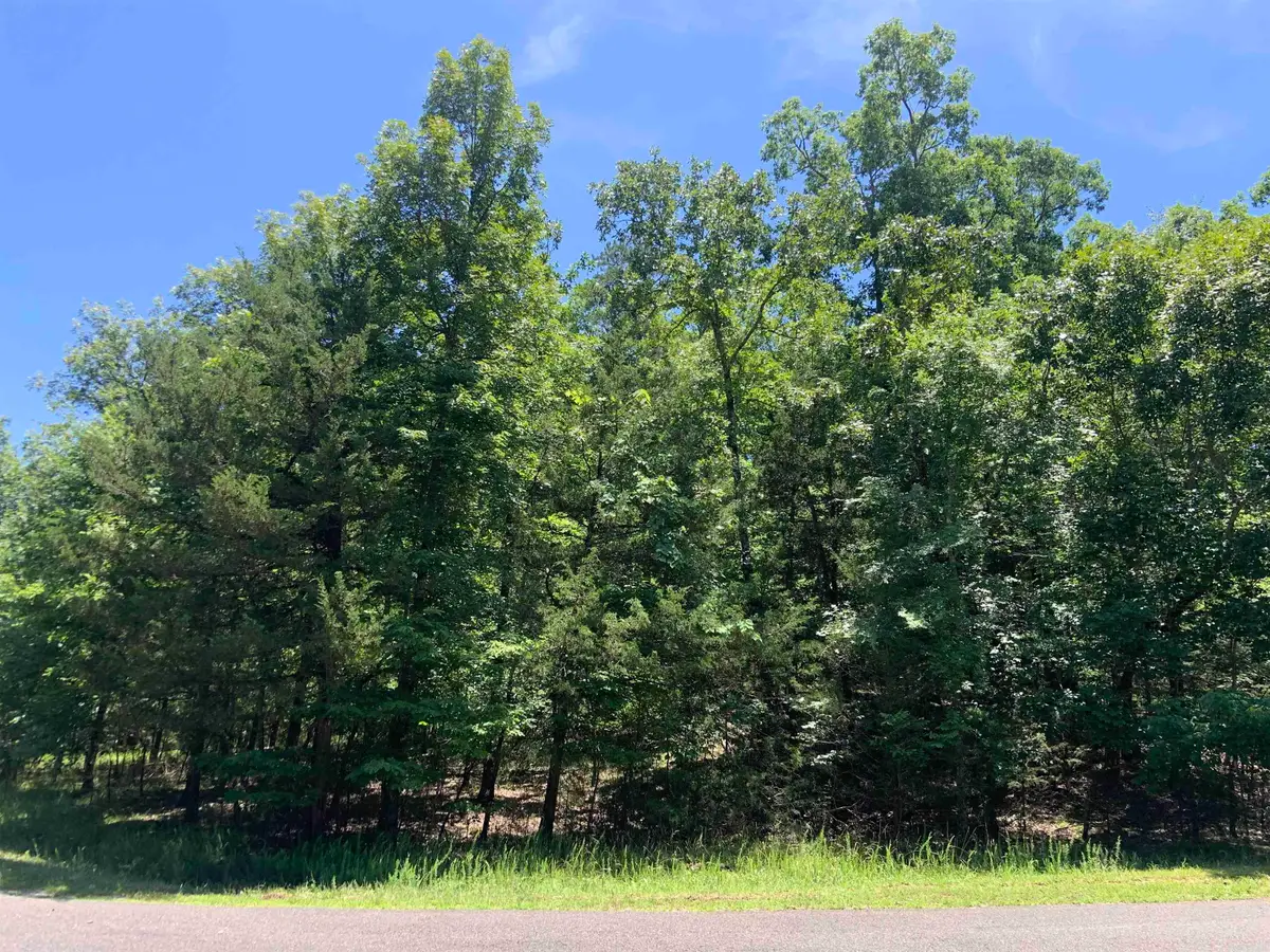 19 Campeon Ln, Hot Springs Village, AR 71909 - Image #1