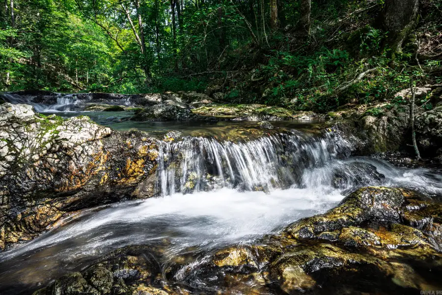 27 Duggan Road, Glenwood, AR 71943 - Image #2