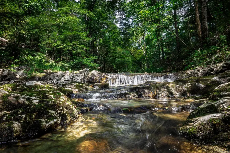 27 Duggan Road, Glenwood, AR 71943 - Image #3