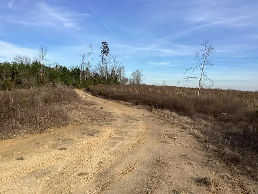 0000 Davidson Campground Road, Okolona, AR 71962 - Image #2