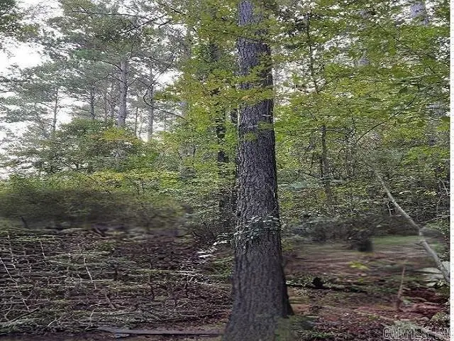 Address Withheld By Seller, Texarkana, AR 71854 - Image #1