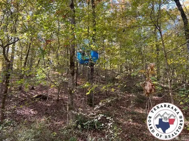 Address Withheld By Seller, Texarkana, AR 71854 - Image #2