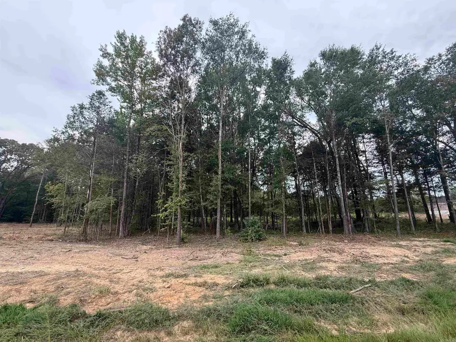 26 Ules Watson Drive, Greenbrier, AR 72058 - Image #2