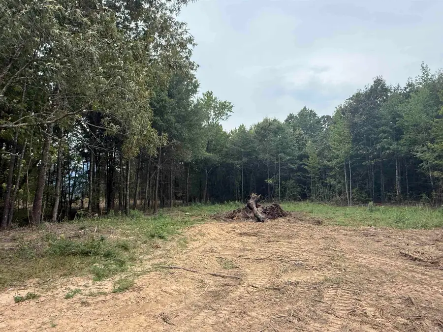 26 Ules Watson Drive, Greenbrier, AR 72058 - Image #3