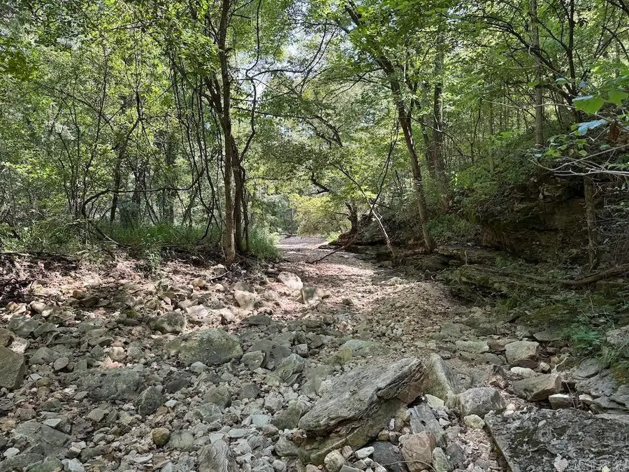 550 Hillbilly Hollow Trail, Yellville, AR 72687 - Image #2