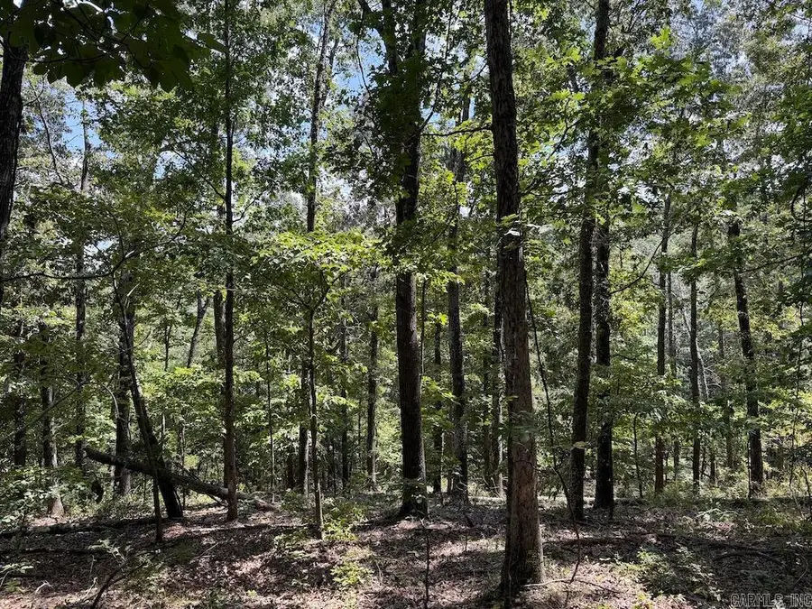 550 Hillbilly Hollow Trail, Yellville, AR 72687 - Image #3