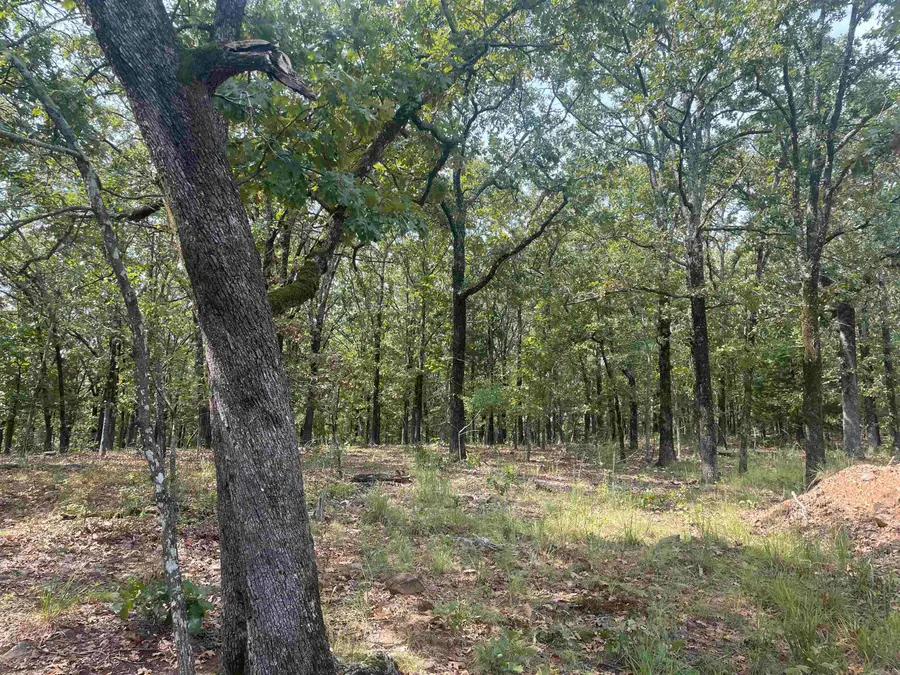 8 acres Lakeview Drive, Conway, AR 72032 - Image #2