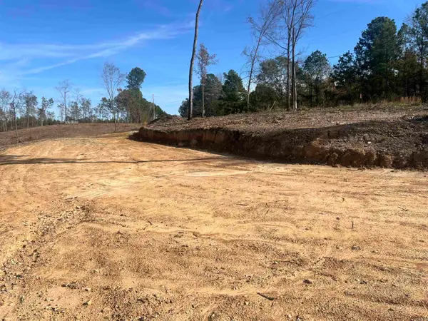 TBD Hwy 84, Bismarck, AR 71929