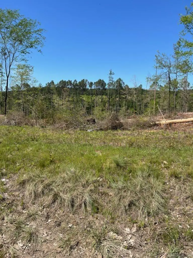 TBD Hwy 84, Bismarck, AR 71929 - Image #2