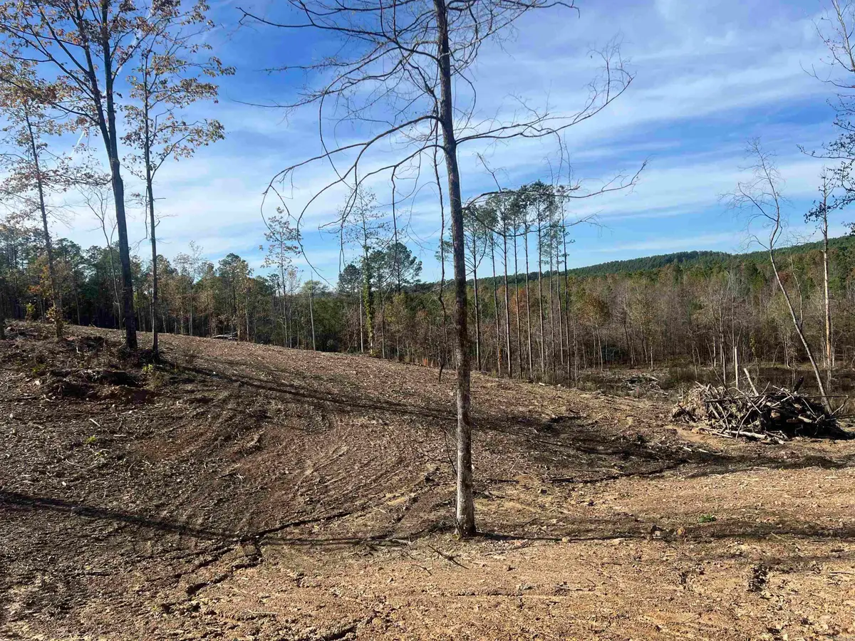 TBD Hwy 84, Bismarck, AR 71929 - Image #1