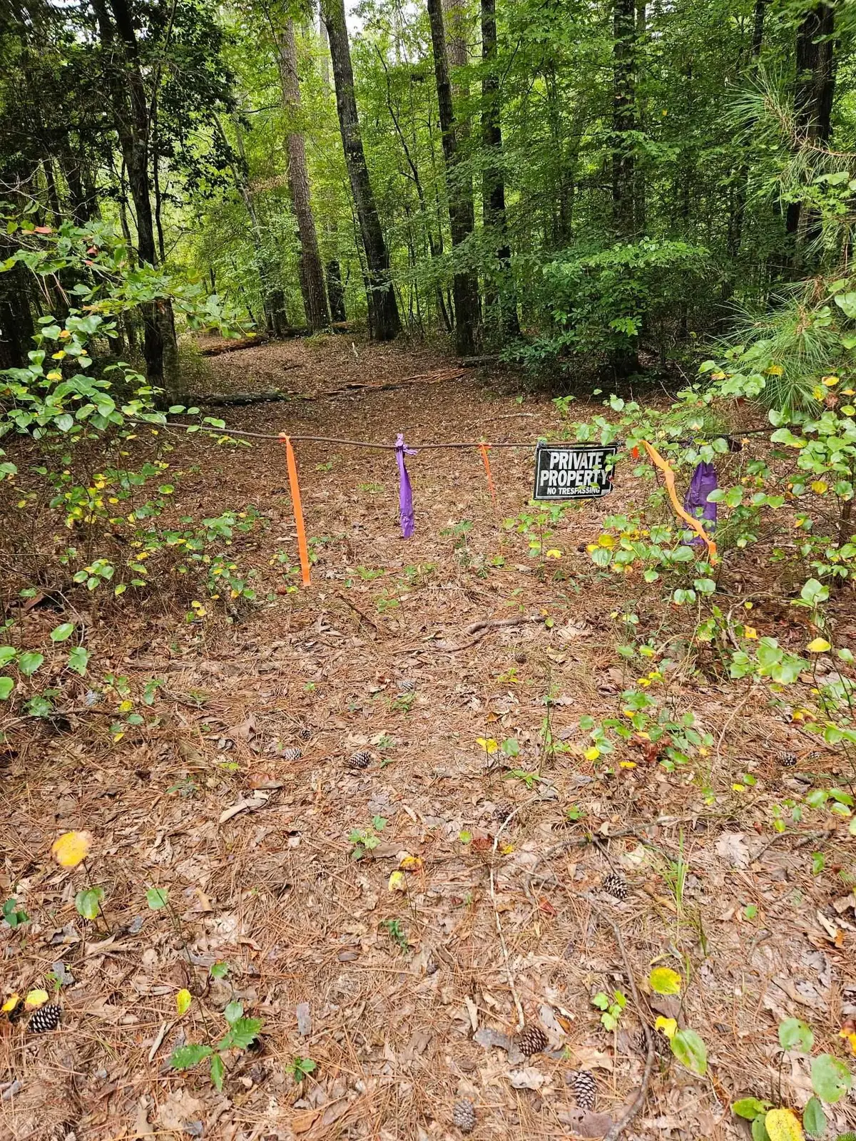 E 28 Acres Dallas 203, Carthage, AR 71725 - Image #1