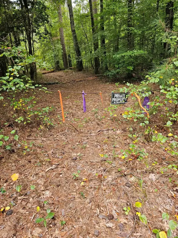 E 28 Acres Dallas 203, Carthage, AR 71725