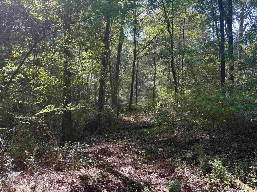 000 Edgewater Cove, Heber Springs, AR 72543 - Image #3