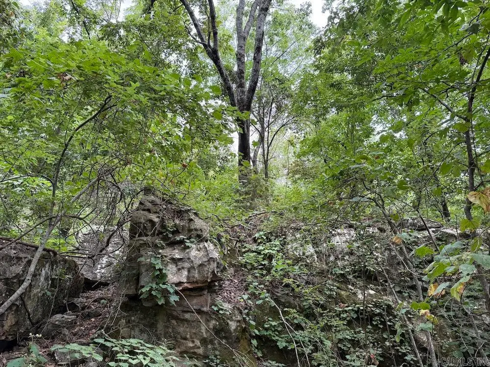 Tract 7 Terrapin Rd, Harrison, AR 72601 - Image #1