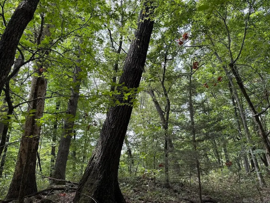 Tract 7 Terrapin Rd, Harrison, AR 72601 - Image #3