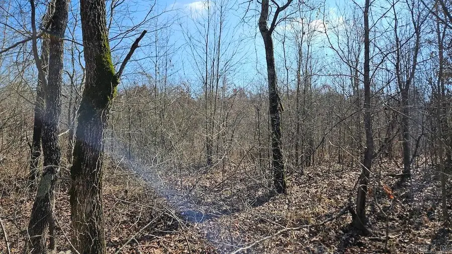 Tract DE Rocky Rd, Bradford, AR 72020 - Image #2