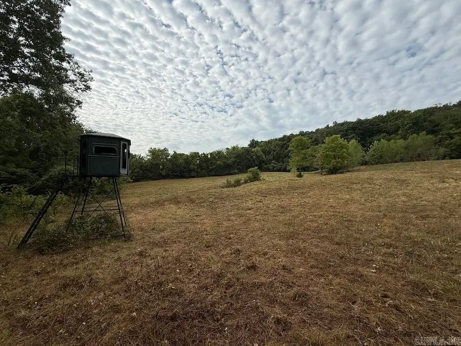 Lick Fork Road,, Marshall, AR 72650 - Image #2
