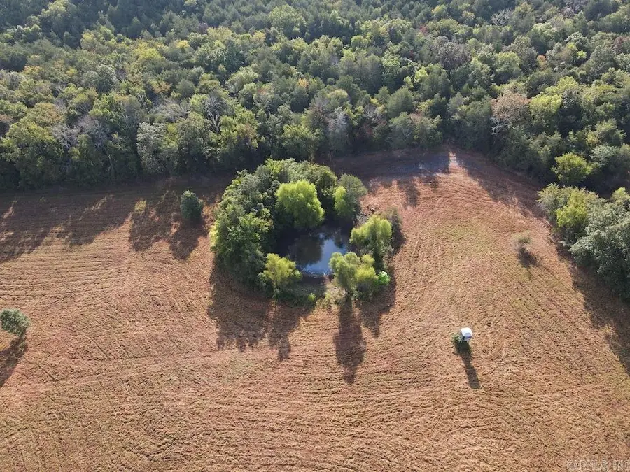 Lick Fork Road,, Marshall, AR 72650 - Image #3