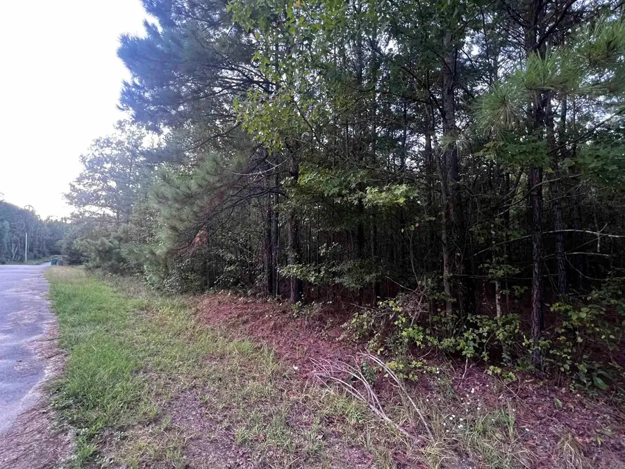 0000 Lanni Lane, White Hall, AR 71602 - Image #2