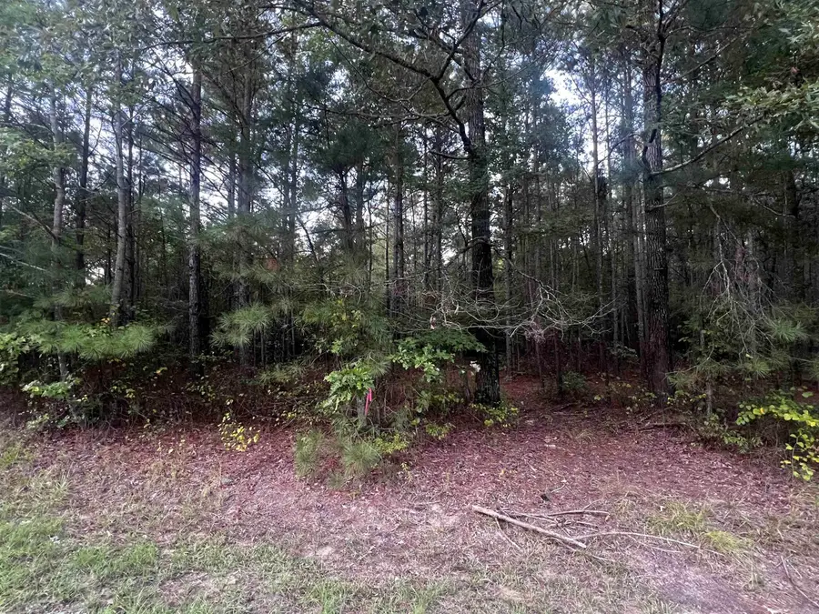 0000 Lanni Lane, White Hall, AR 71602 - Image #3