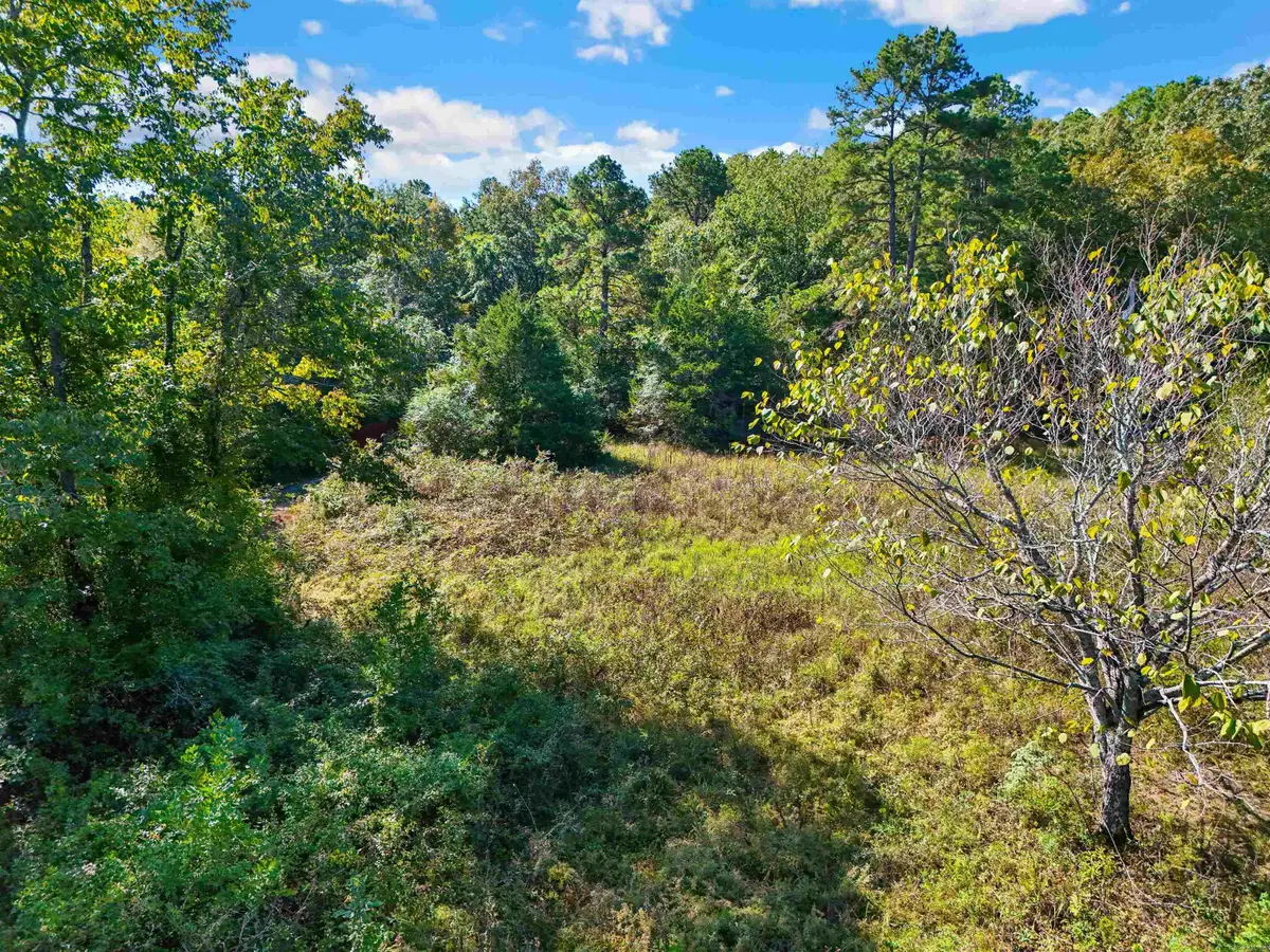 TBD Tupelo Road, Conway, AR 72034 - Image #1