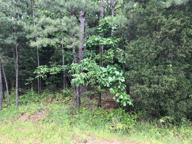 Highway 25, Heber Springs, AR 72543 - Image #2