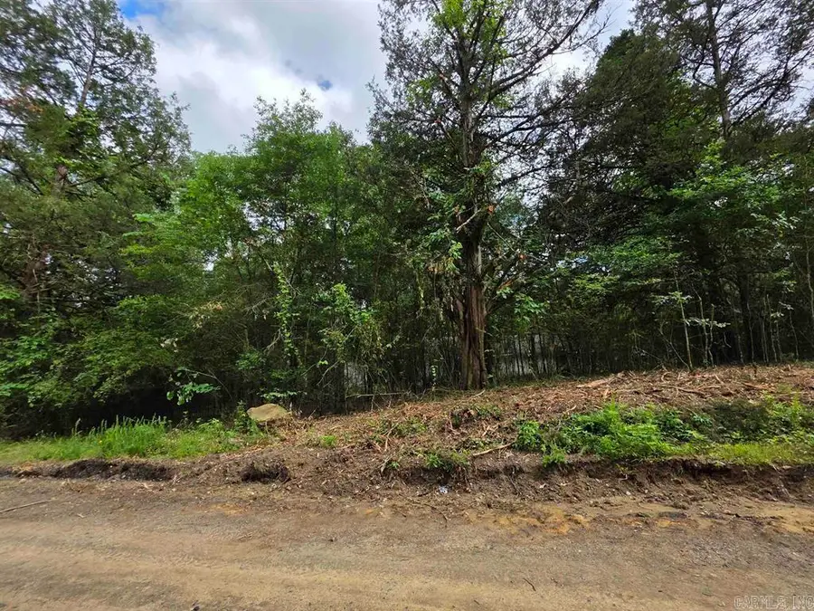 441 Polk Road 30, Hatfield, AR 71945 - Image #2