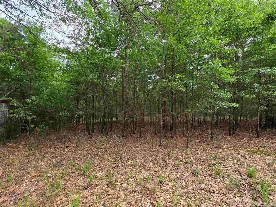 441 Polk Road 30, Hatfield, AR 71945 - Image #3