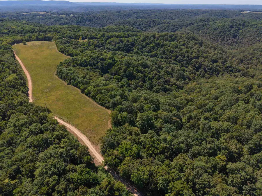 1168 Love Hollow Road, Mount Pleasant, AR 72561 - Image #3