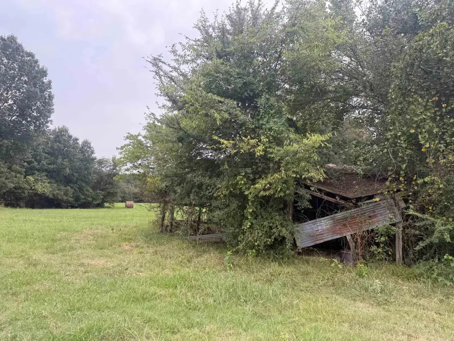 602 Stephenson Road, Gurdon, AR 71743 - Image #3