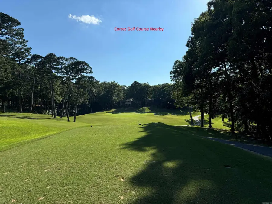 38 Navas Way, Hot Springs Village, AR 71909 - Image #3