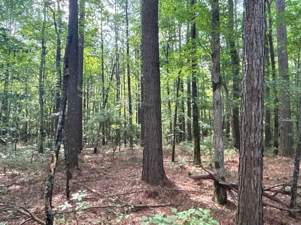 Address Withheld By Seller, Rosston, AR 71858