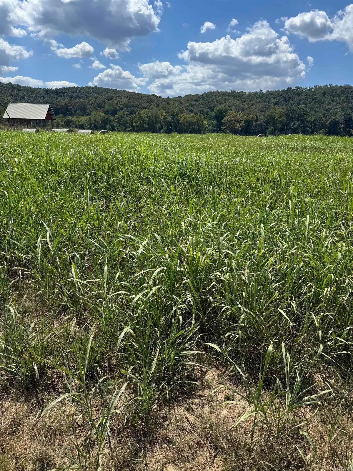 39-40 White River Run, Guion, AR 72540 - Image #1