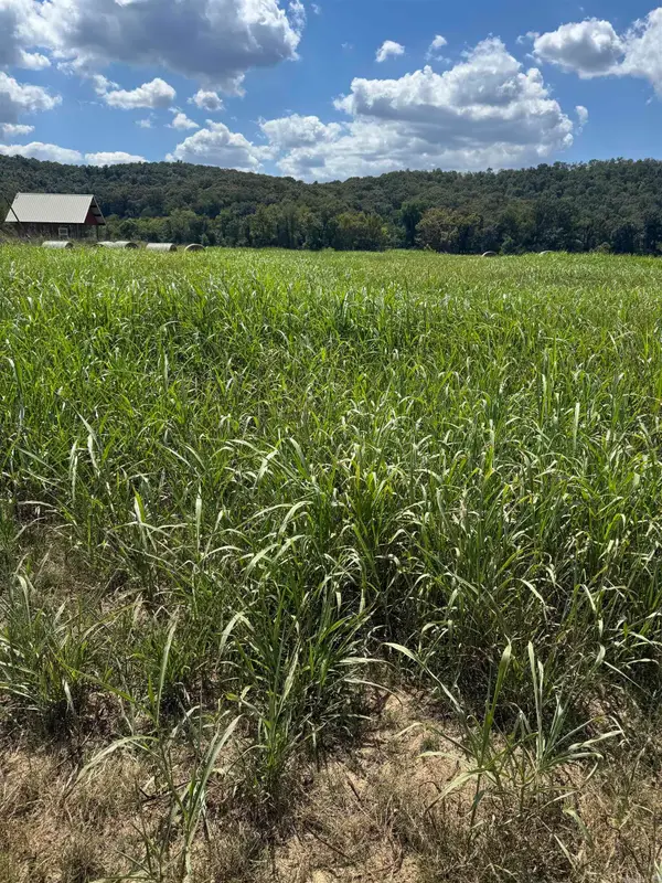 39-40 White River Run, Guion, AR 72540