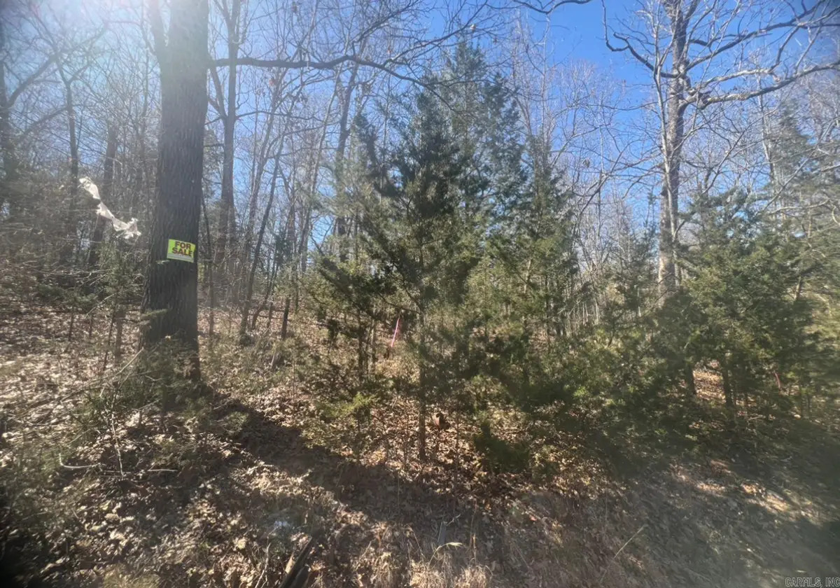 Address Withheld By Seller, Horseshoe Bend, AR 72512 - Image #1