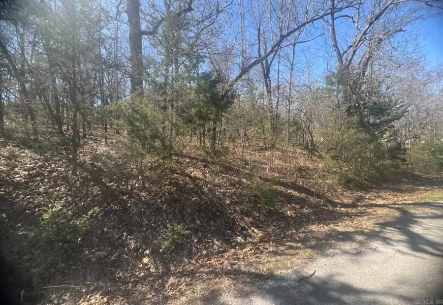 Address Withheld By Seller, Horseshoe Bend, AR 72512 - Image #2